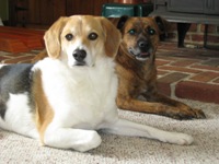 Tyler and Lucy